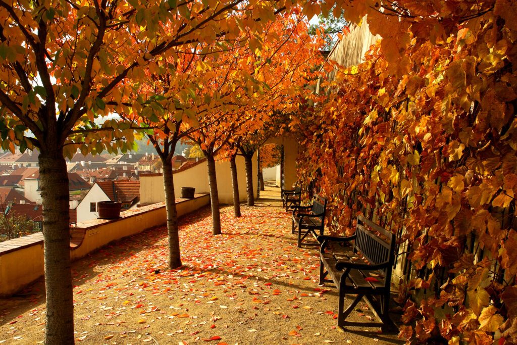 Autumn Prague - great time to visit: book a tour with Supreme Prague